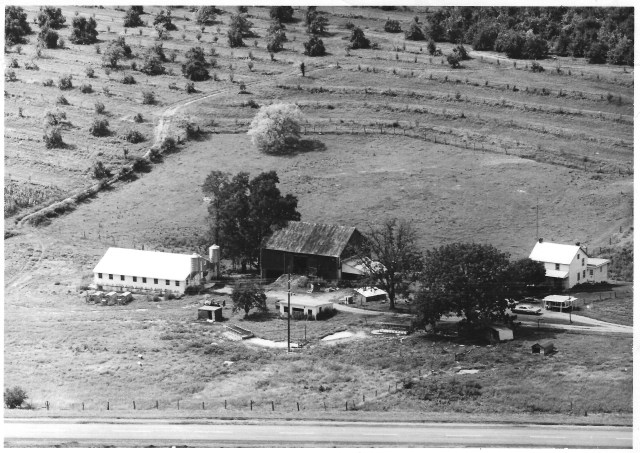 Ivy Hill Farm, 1960s-1