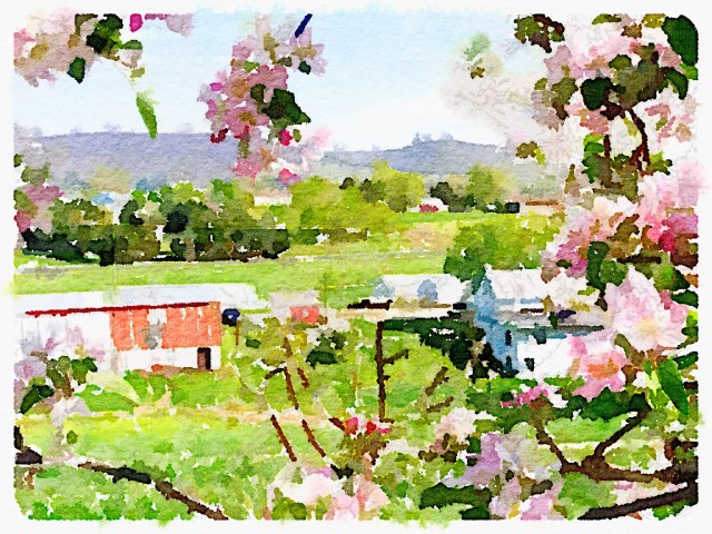 Preset Style = Vibrant Format = 6