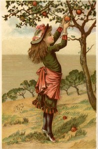 vintage farmer's daughter